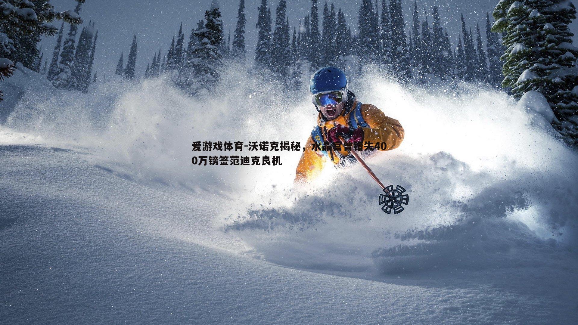 爱游戏体育-沃诺克揭秘，水晶宫曾错失400万镑签范迪克良机